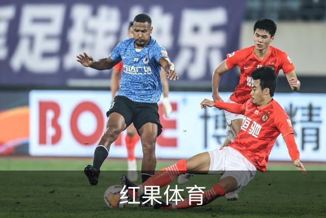 红果体育公司简介展示图